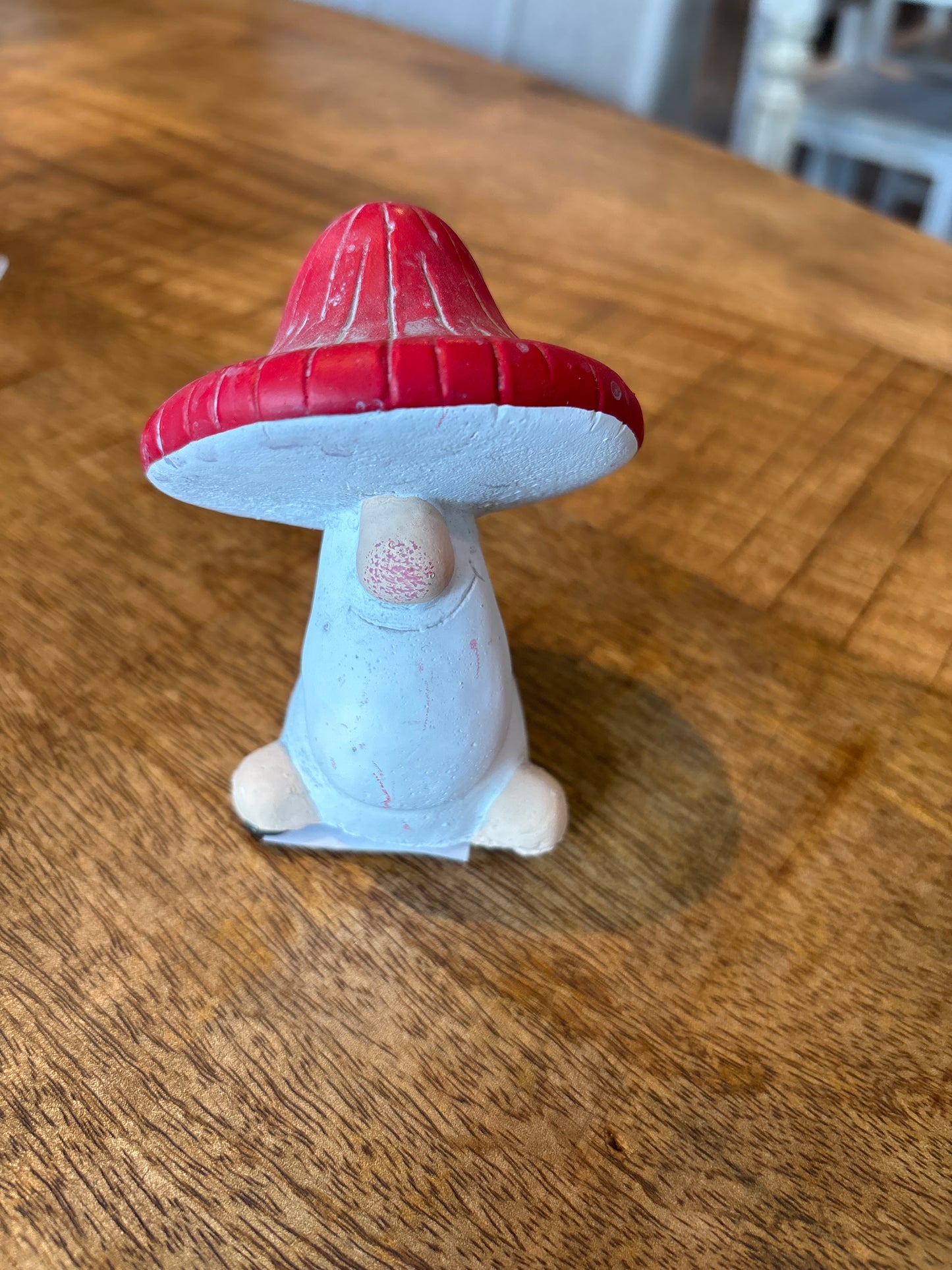 Cement Mushroom With Red Hat