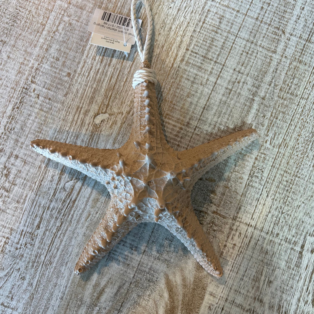 Small cream starfish hanging