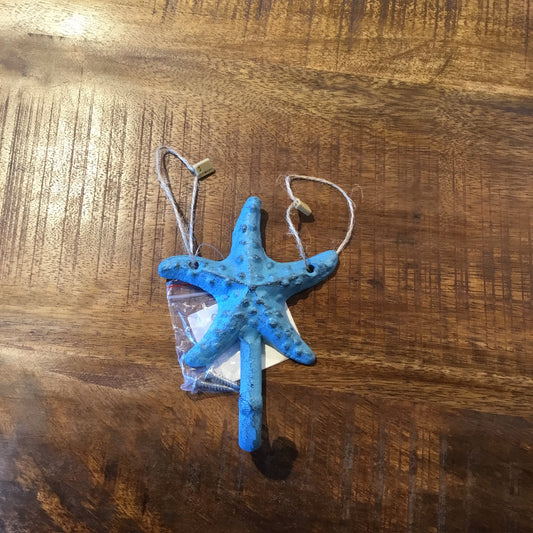 Blue cast iron starfish hook