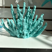 Load image into Gallery viewer, Turquoise Coral Decor coral 5.5 x 7 in
