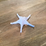 Medium 3D Starfish-White