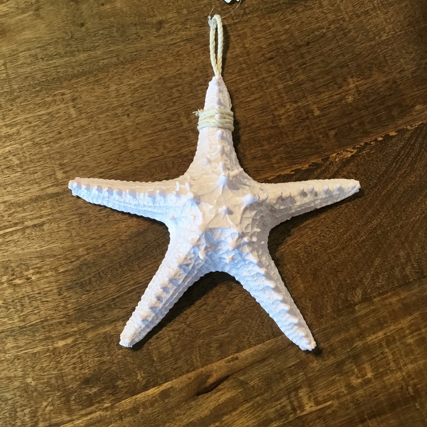 Medium white starfish (6 inches)