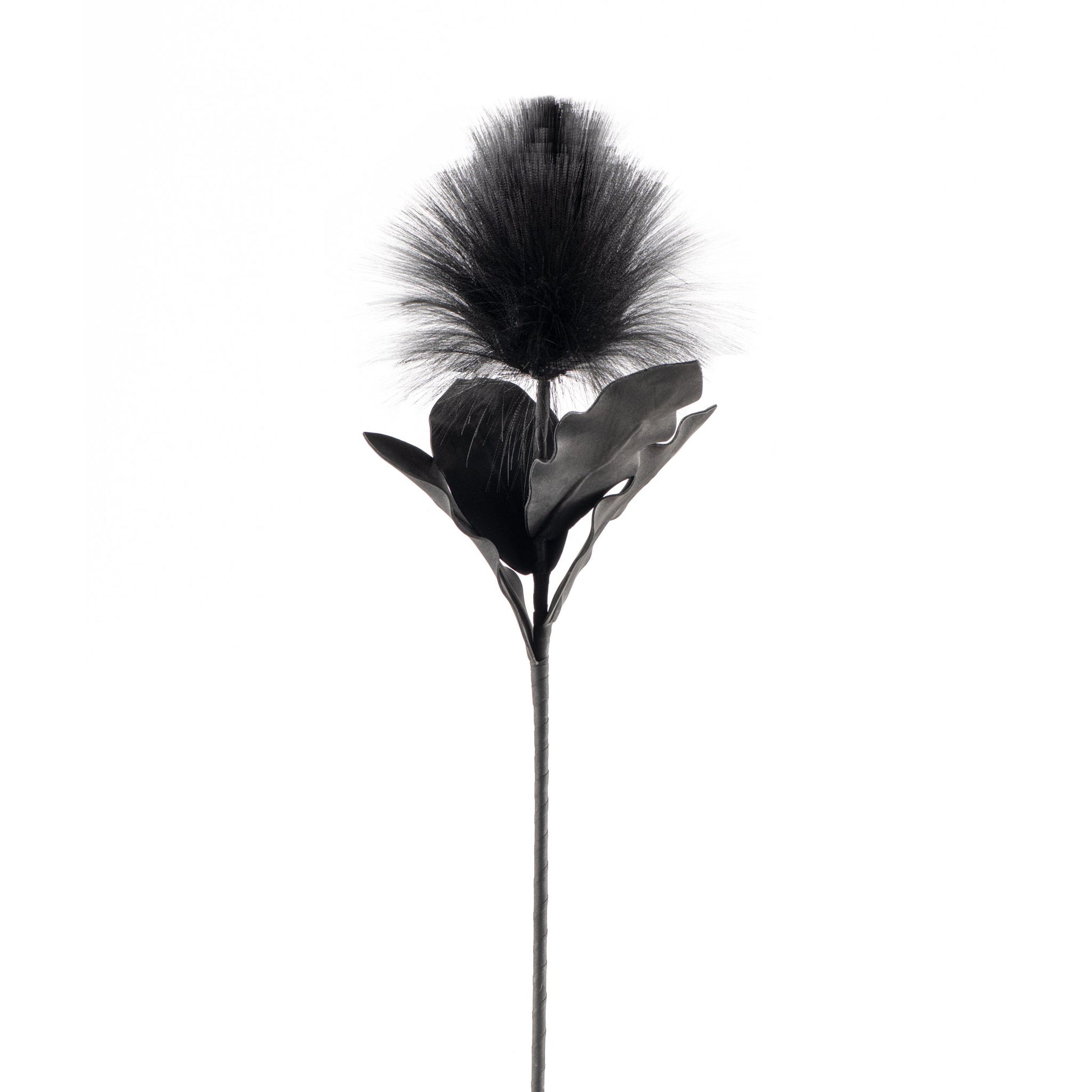 Desert Blooming Feather Pod Stem - Black
