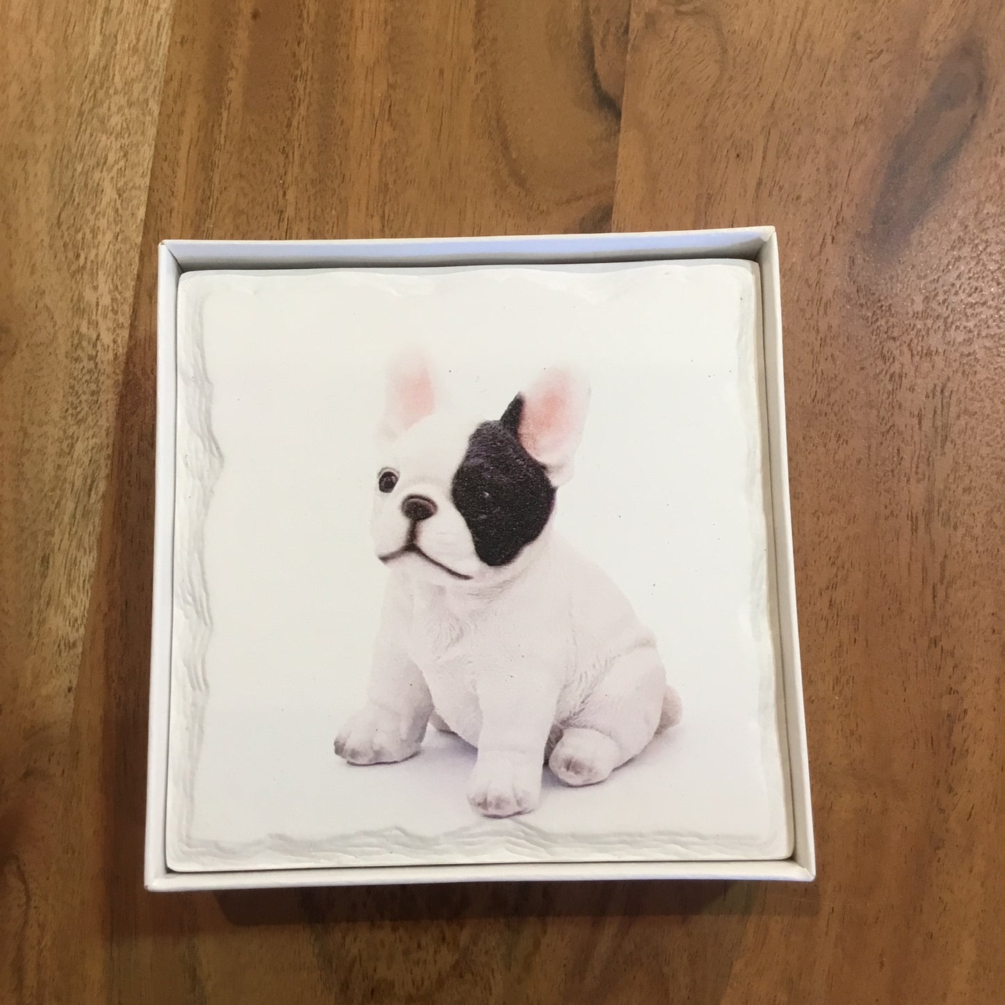 Puppy Coasters (Set of 4)