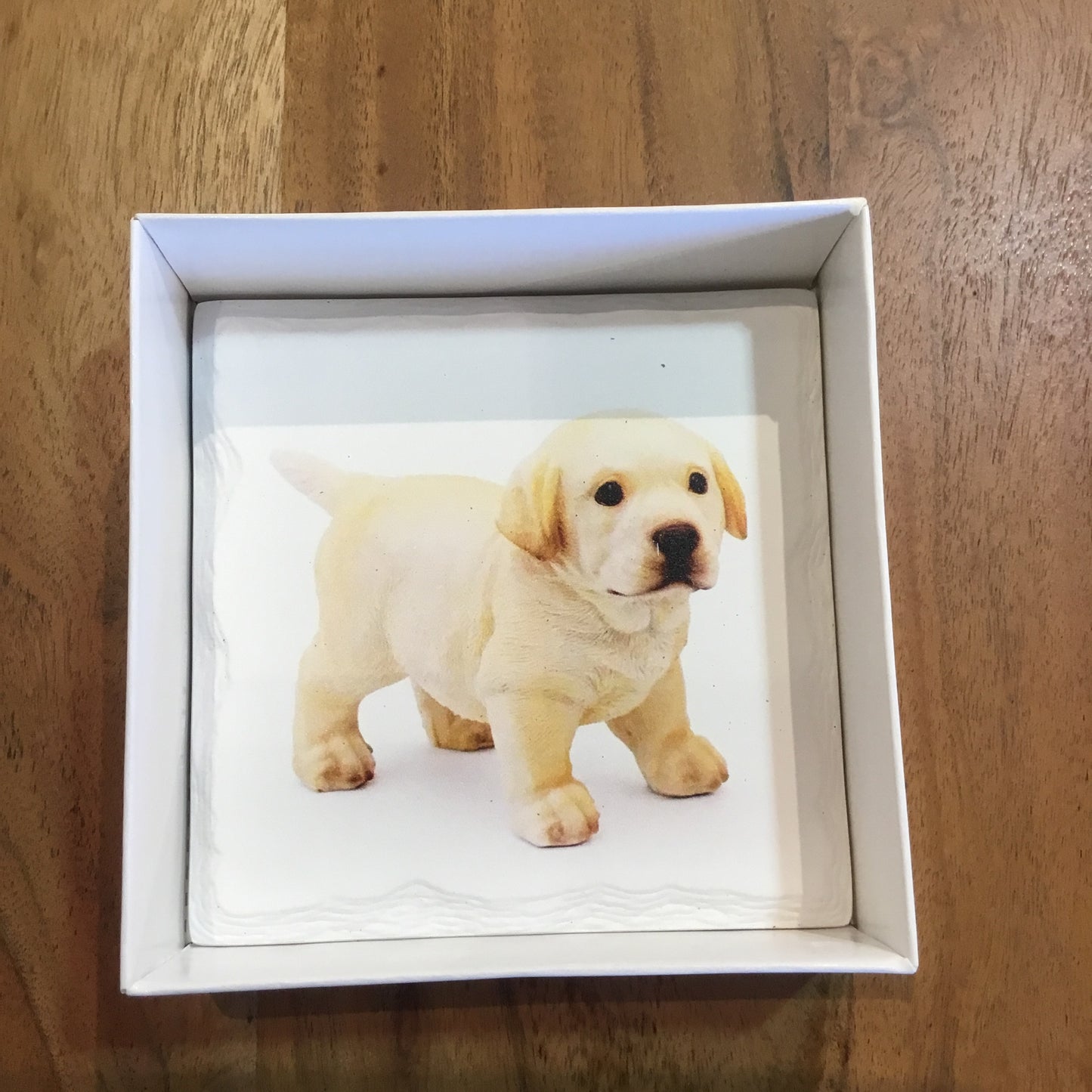 Puppy Coasters (Set of 4)