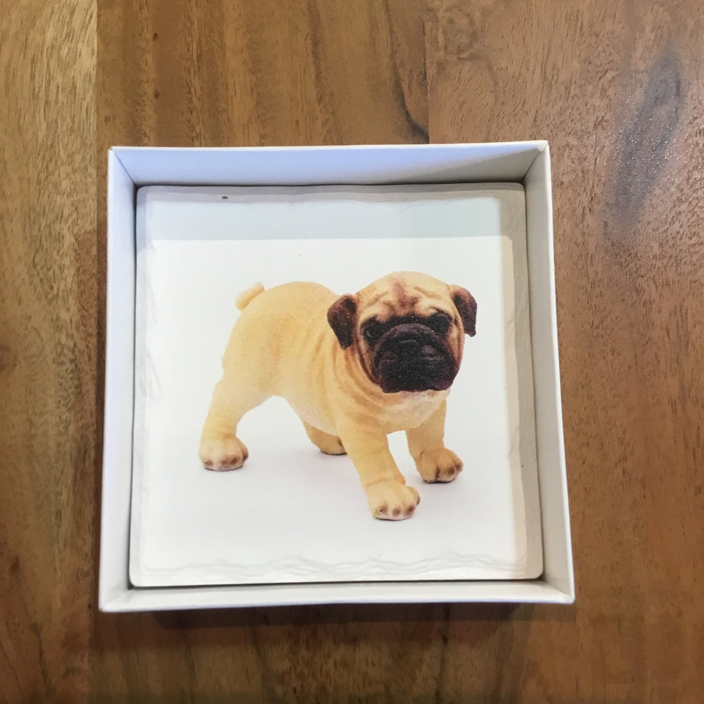 Puppy Coasters (Set of 4)