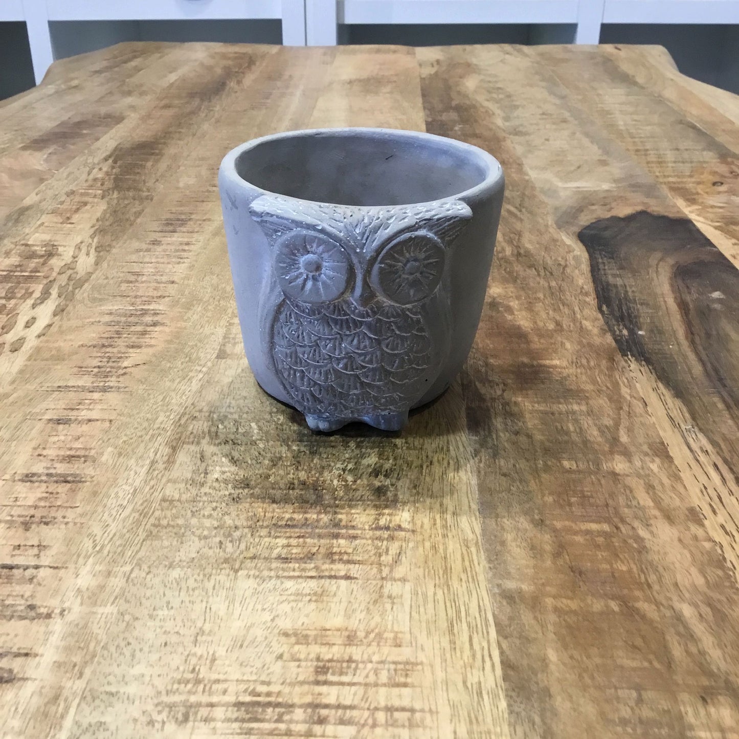 Call of the Wild Owl Planter