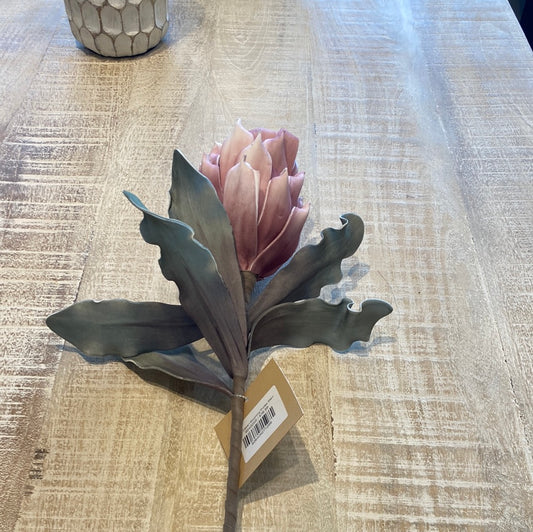 Pink Desert Blooming Protea Stem