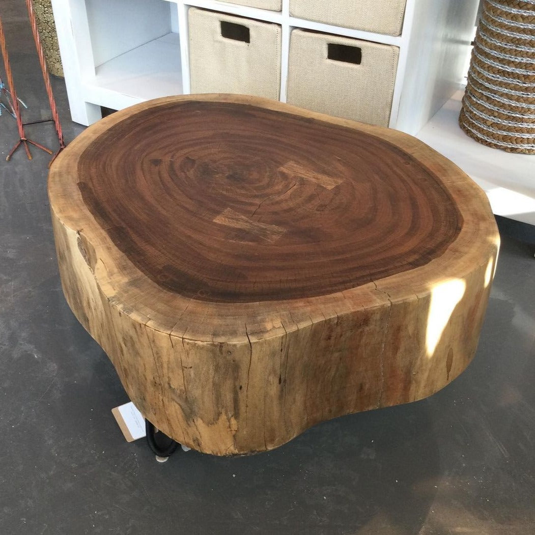 Tree Pad Root Acacia Wood Coffee Table